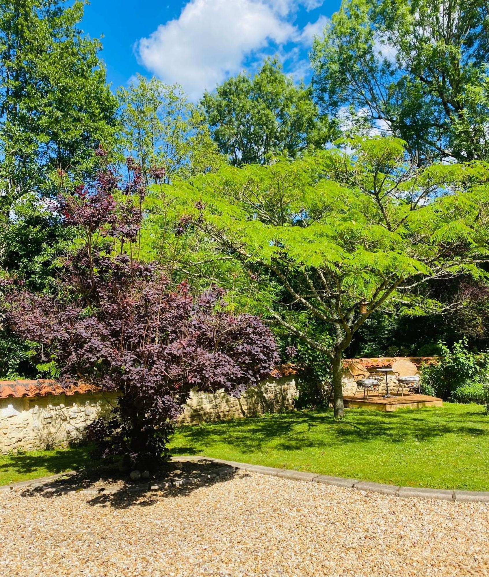 Moulin Du Fontcourt Bed & Breakfast Chasseneuil-sur-Bonnieure ภายนอก รูปภาพ