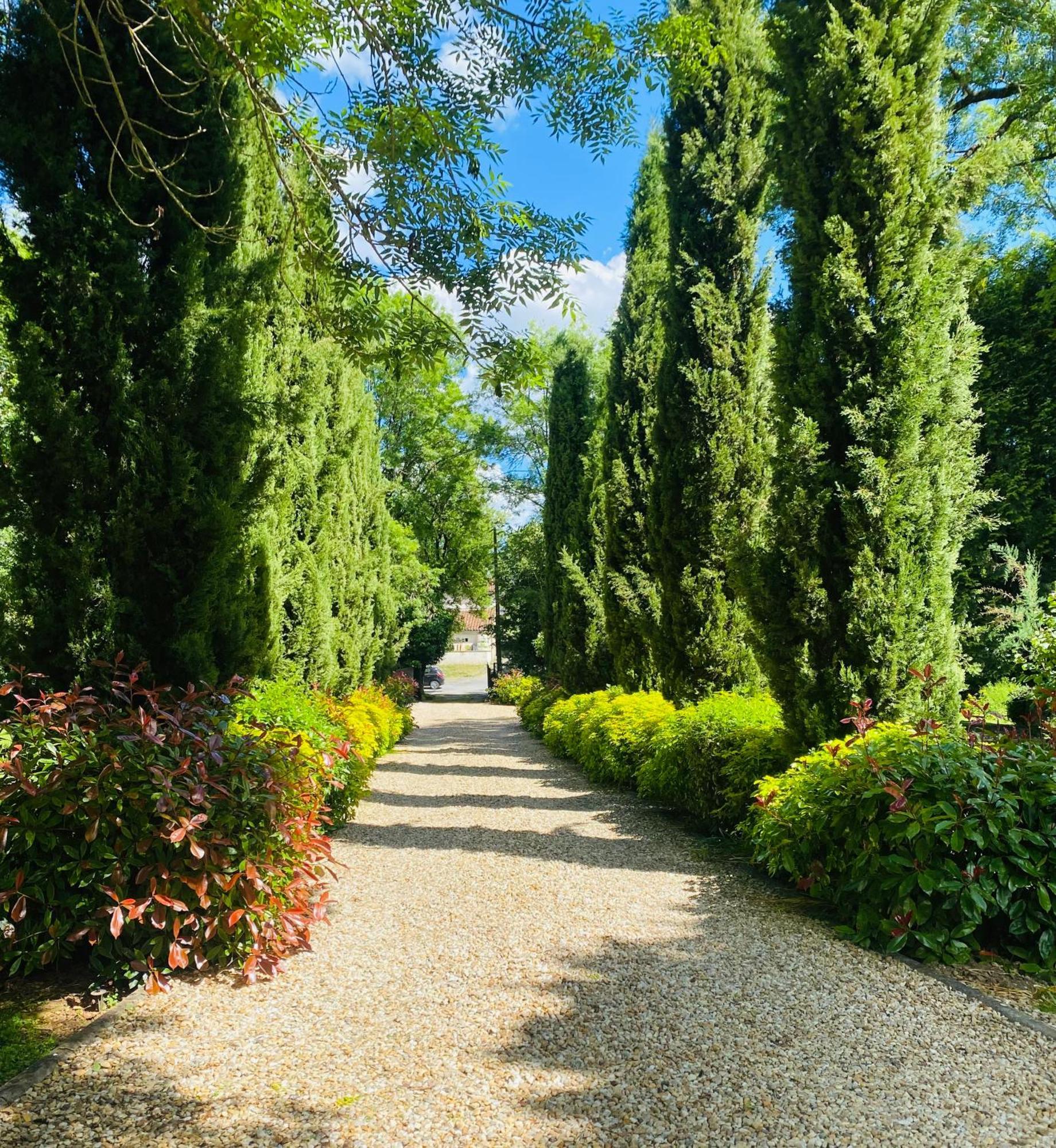 Moulin Du Fontcourt Bed & Breakfast Chasseneuil-sur-Bonnieure ภายนอก รูปภาพ