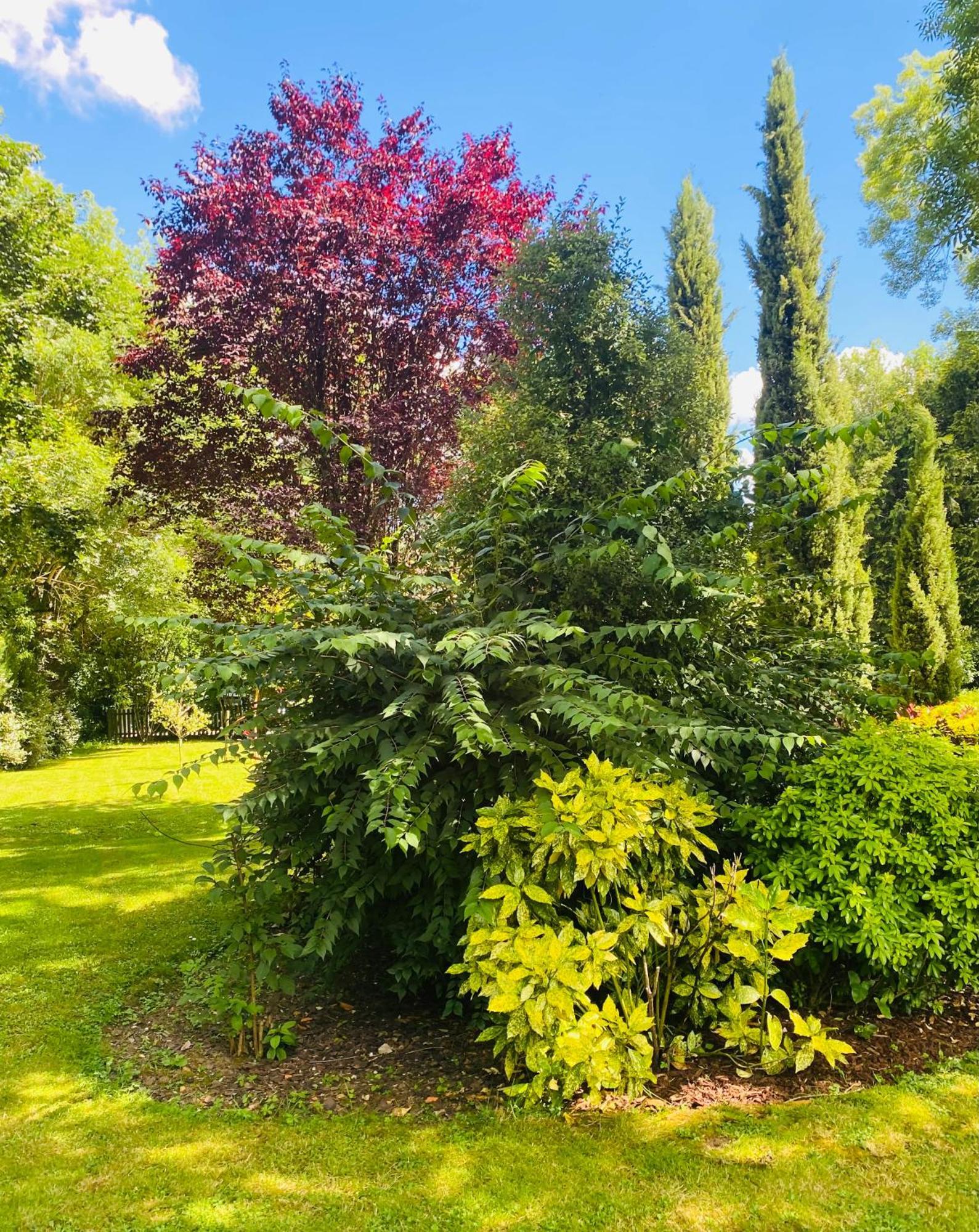 Moulin Du Fontcourt Bed & Breakfast Chasseneuil-sur-Bonnieure ภายนอก รูปภาพ