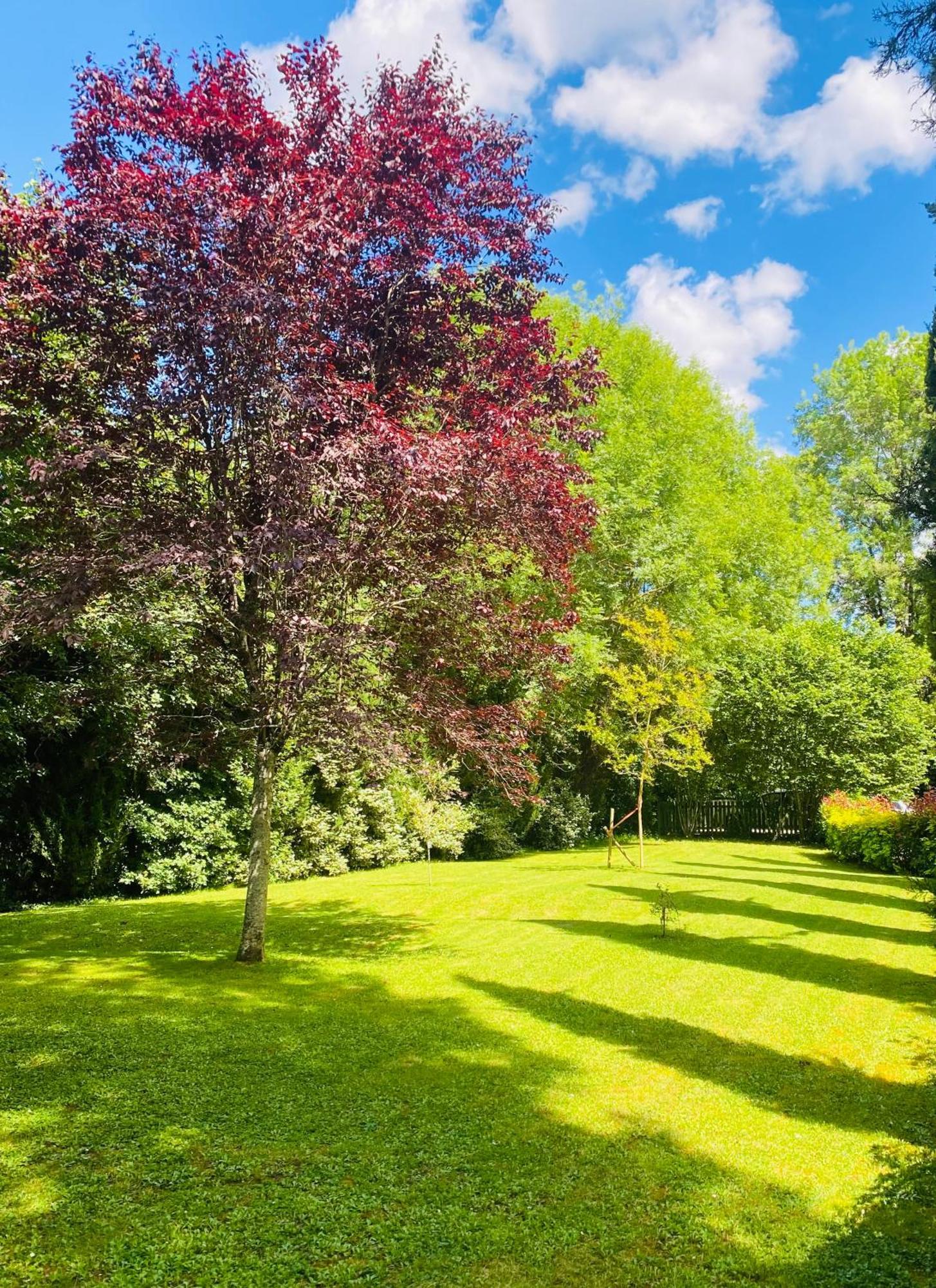 Moulin Du Fontcourt Bed & Breakfast Chasseneuil-sur-Bonnieure ภายนอก รูปภาพ